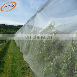Transparent Anti Insect Net for Vegetable Windbreaker Net 90gr/m2 thumbnail-3