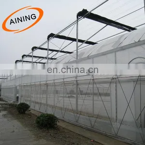 40,50 Mesh 100% Virgin HDPE With UV Anti Insect Net UV Treated for Greenhouse thumbnail-4