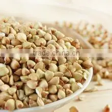 Organic Buckwheat thumbnail-2