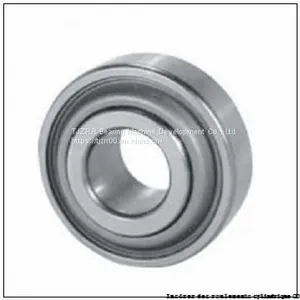 TIMKEN LSM100BR Insérer Des Roulements Cylindrique OD thumbnail-2