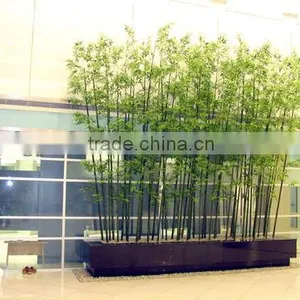 Artificial Silk Bamboo/Fake Bamboo Group thumbnail-1