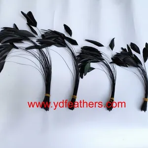 Stripped Rooster/Coque/Cock Tail Feather For Wholesale From China thumbnail-1