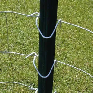 American T-Shape Post, Studded T Post, Steel Post, Fence Post (USA Type) Y Post thumbnail-2