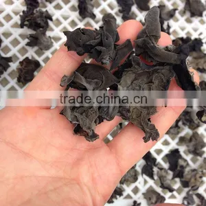 Dried Auricularia Auricula From China thumbnail-1