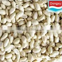 Blanched Peanut Kernel thumbnail-1