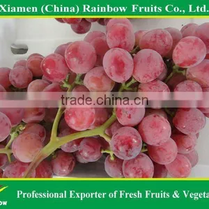 Global Grpaes/fresh Grapes Price thumbnail-6
