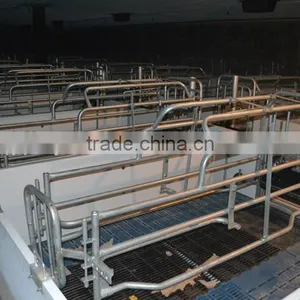 Pig Farrowing Crates for Piglets thumbnail-1