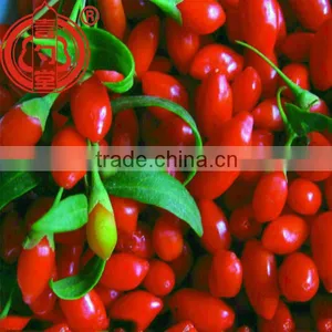 Berry Goji Bulk Goji Berries Wholesale Goji Berry thumbnail-2