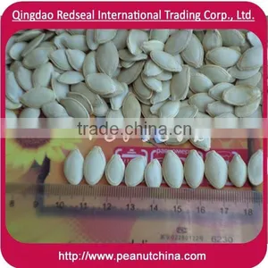 Hot Sale Shine Skin PUMPKIN SEEDS thumbnail-1