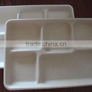5 Compartment Tray thumbnail-1