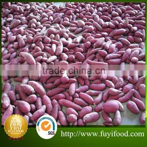 Exporter Fresh Purple Sweet Potatoes thumbnail-5