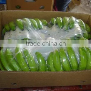 GRADE A FRESH CAVENDISH BANANA thumbnail-1