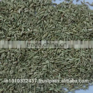 Fennel Seeds Green Colour thumbnail-2