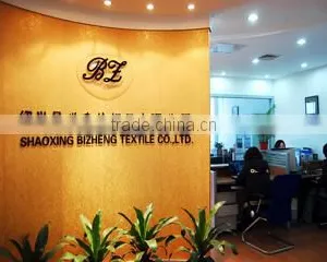 Shaoxing County Bizheng Textile Co., Ltd. company overview - view 1 thumbnail