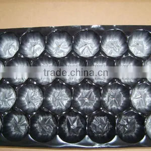 PP Punnet For Tomato,39*59cm thumbnail-1