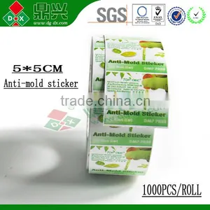 Eco-firendly Shoes Lucky Flower Anti Mold Mildew Wholesale thumbnail-3