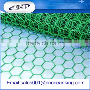 Supply Poultry Netting / Hexagonal Fence Netting From Top Factory thumbnail-1
