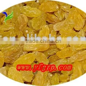 Turkish Sultana Raisin thumbnail-1