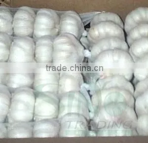 Fresh China Garlic thumbnail-3