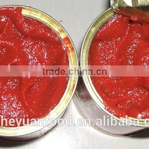 70g Good Taste Canned Tomato Paste thumbnail-2