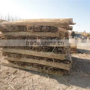 Electrical Drive Any Width Make by Order Reed Rod Screen Weaving Machine thumbnail-2