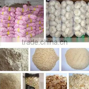 2013chinese Fresh White Garlic thumbnail-1