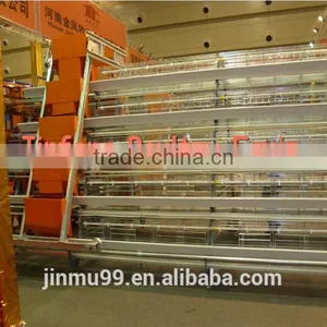China Factory Quality Automatic Poultry Equipment thumbnail-1