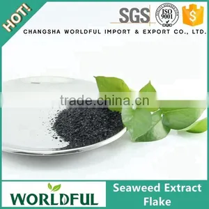 Good Price Supplement Seaweed Extract Flake Organic Composition Fertilizer thumbnail-1