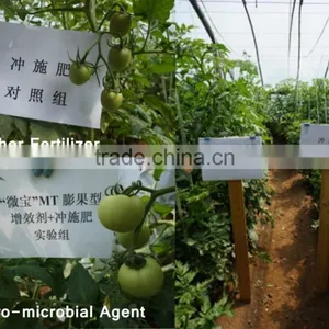 Agro-microbial Agent thumbnail-5