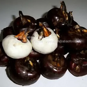 Chinese IQF Frozen Water Chestnuts Slices thumbnail-5