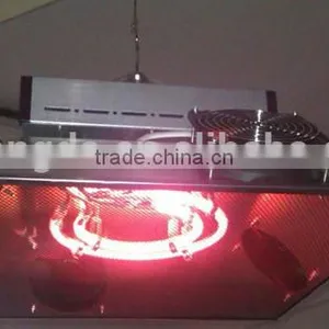 Automatic Chicken Brooder for Sale thumbnail-1
