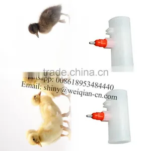 Chicken Water Drinker thumbnail-3