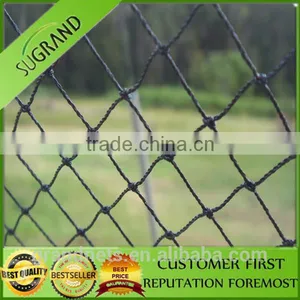100% New HDPE Nylon Bird Nets for Catch Birds Anti Bird Netting for Sale thumbnail-3