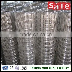 Iron Wire Fence Hot Dip Galvanized/pvc Coated Welded Wire Mesh Rolls thumbnail-1