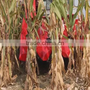 Corn Used Corn Harvesters thumbnail-6