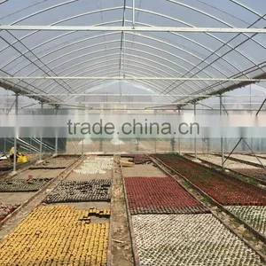 Greenhouse Temperature Cooling System Tomato thumbnail-1