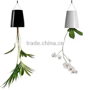 Sky Planter Unique Indoor Decorative Plant Pots thumbnail-5