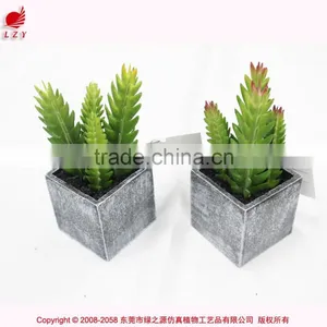 Artificial Succulent Combination Mini Succulent Potted High Quality Mini Artificial Catus thumbnail-4