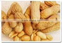 Arachis Oil thumbnail-4