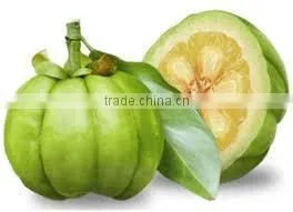 GARCINIA CAMBOGIA EXTRACT for Making Slimming Capsule thumbnail-1