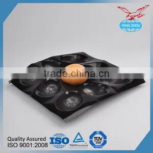 Compartment Disposable Food Tray Fiber Tray For Apple thumbnail-4