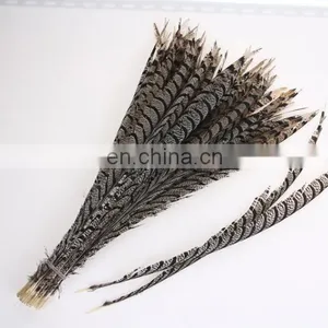 Best Quality 30-40cm Pheasant Feather thumbnail-4