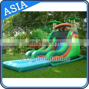 Double Lane Commercial Inflatable Water Slide, Pool Water Slide thumbnail-4