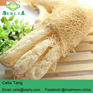 Wild Growing Mushroom Bamboo Fungus Tasty Dictyophora thumbnail-3