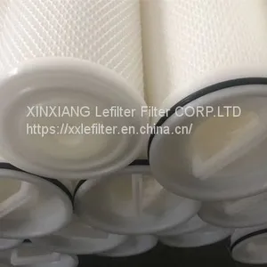 High Flow Rate Water Filter Pftm1-60u-Hfh13 thumbnail-1