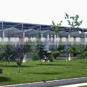Commercial Multi Span Vegetable & Flower Greenhouse thumbnail-1