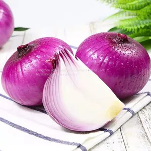 Fresh Onion thumbnail-1