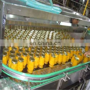 Canned Pineapple Processing Machine Canned Pineapple Slices Production Line thumbnail-2