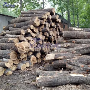 Container Type Wood Drying Kiln Wood Drying Processing Plant Wood Drying Chamber EPC thumbnail-5