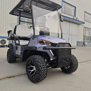Latest Private - Customized Electric Golf Carts, Sourced From the Original Manufacturer for Export and Foreign Trade thumbnail-3